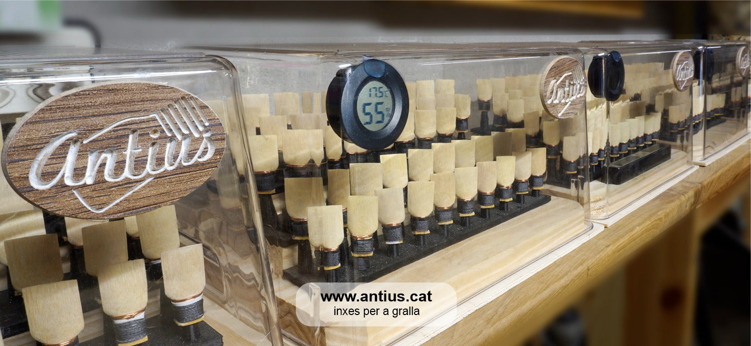 www..antius.cat